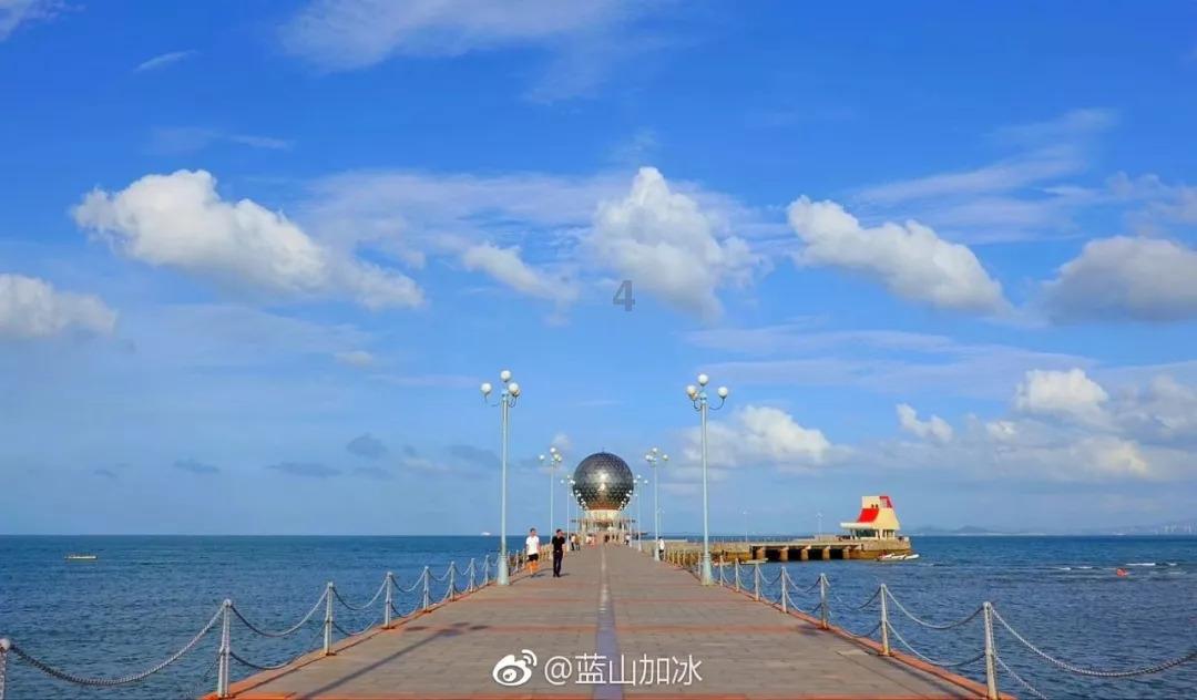 逃离森林边缘